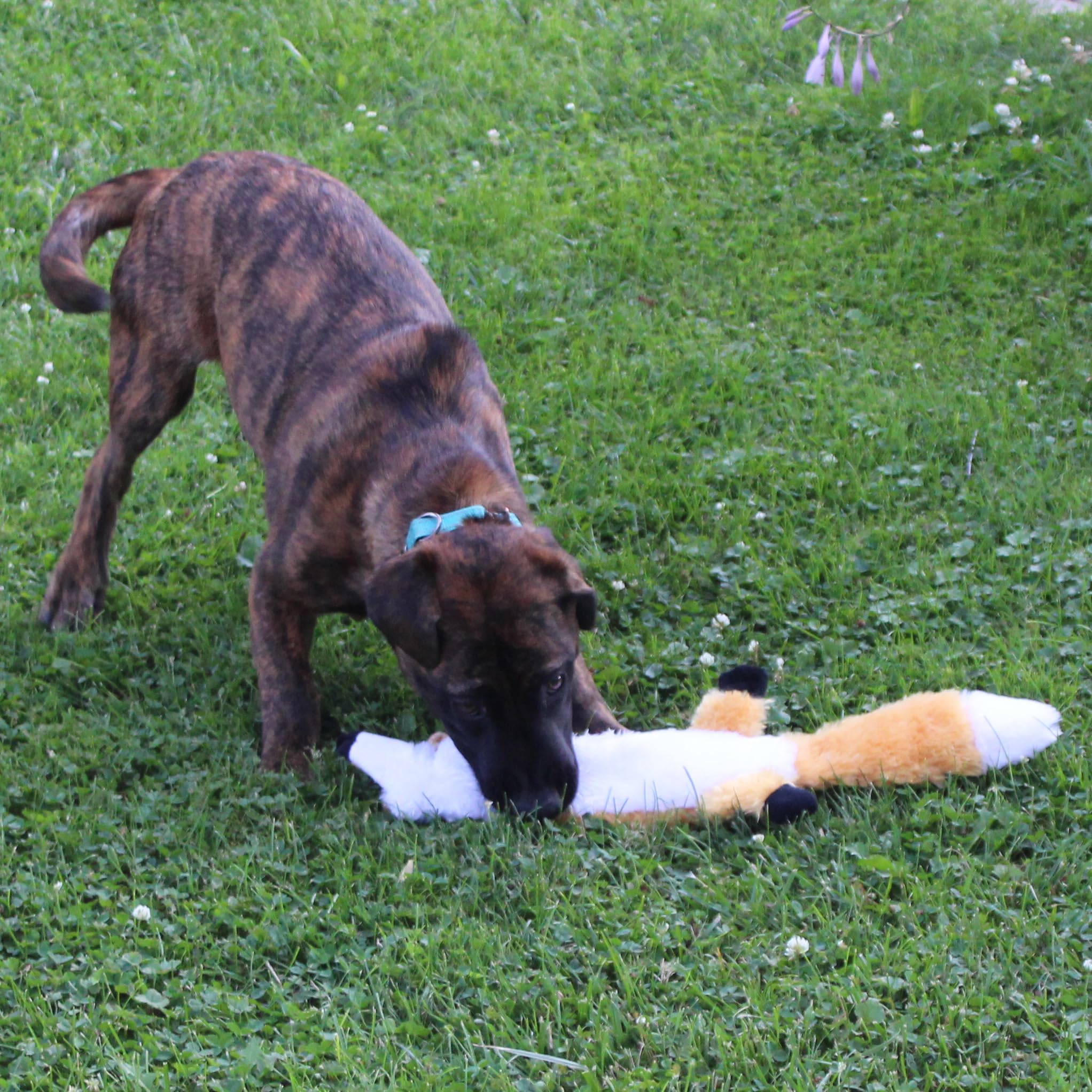 Foto 6 pulgar | Juguete Para Perros Spot Skinneeez Extreme Quilted Fox Durable 23 Pulgadas - Venta Internacional.