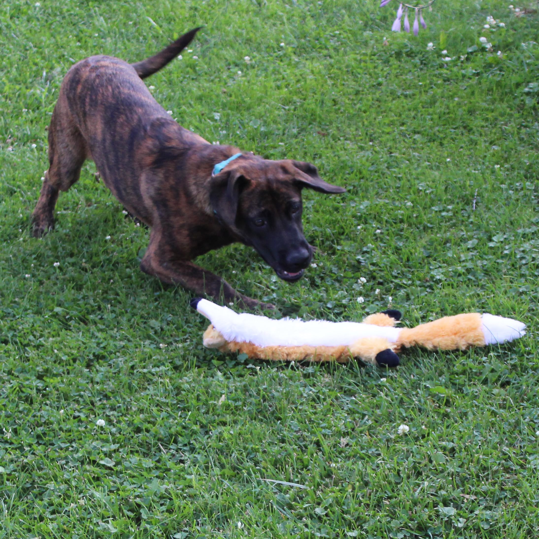 Foto 8 pulgar | Juguete Para Perros Spot Skinneeez Extreme Quilted Fox Durable 23 Pulgadas - Venta Internacional.