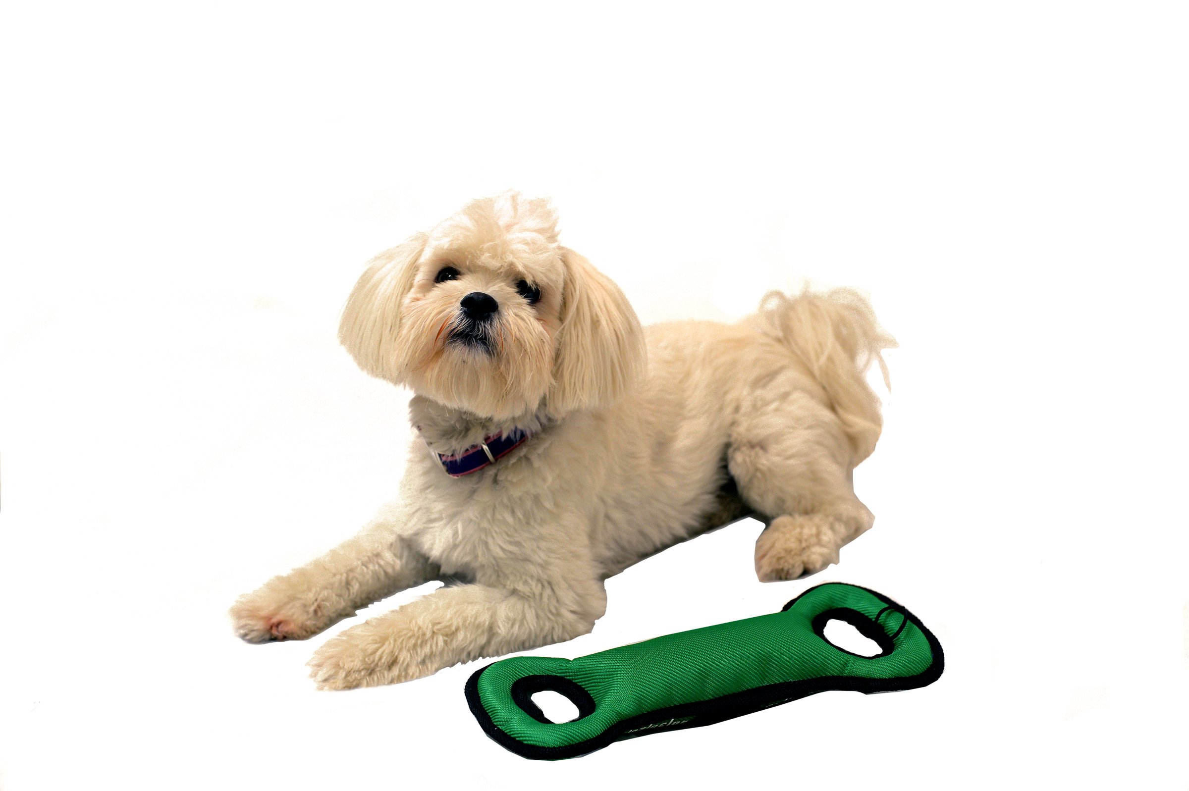 Foto 4 pulgar | Dog Toy Pets First Nfl Washington Commanders Football Field - Venta Internacional.