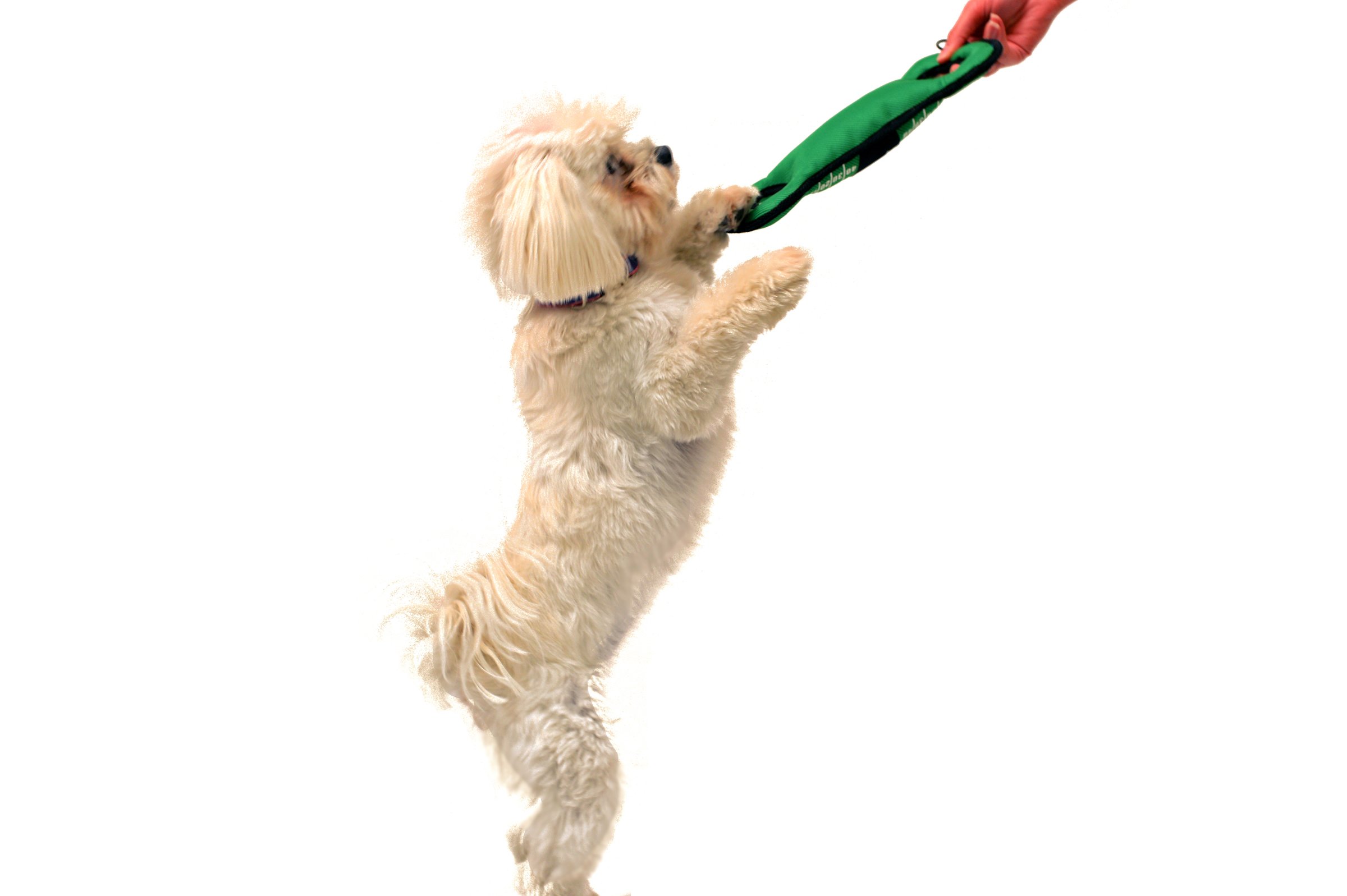 Foto 4 | Dog Toy Pets First Nfl Washington Commanders Football Field - Venta Internacional.