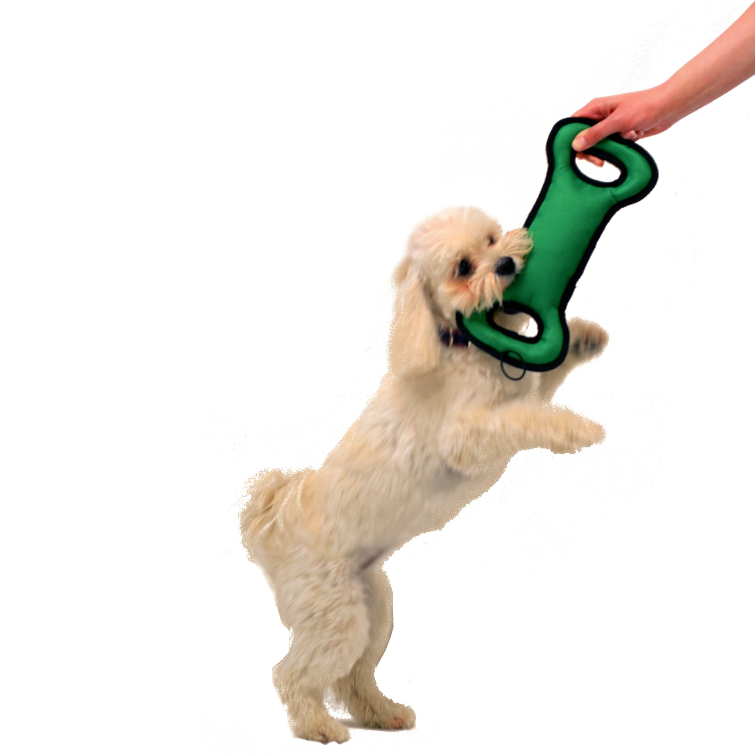 Foto 6 pulgar | Dog Toy Pets First Nfl Washington Commanders Football Field - Venta Internacional.