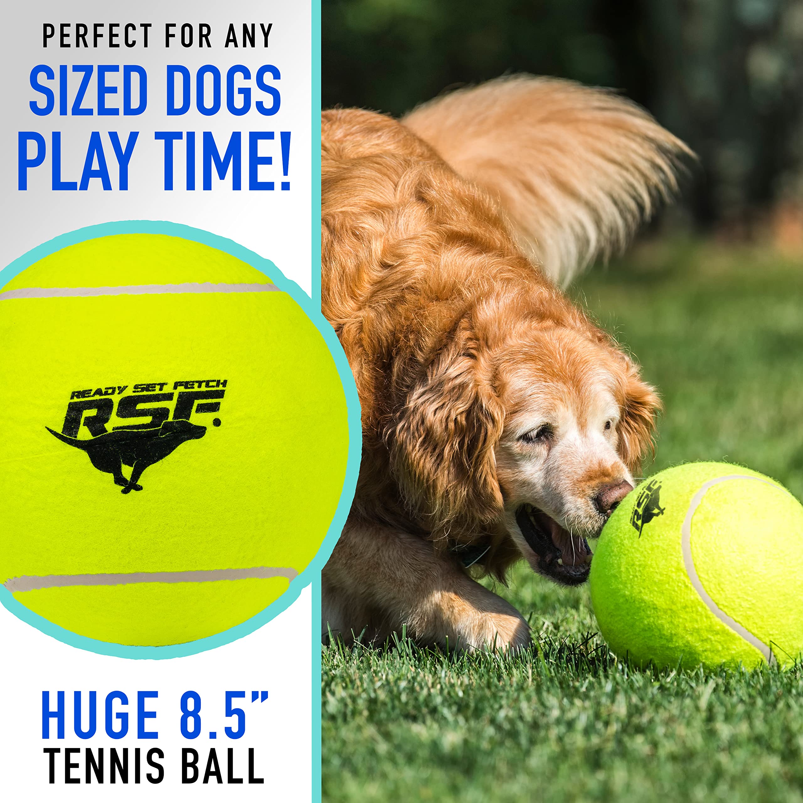 Foto 4 pulgar | Pelota De Tenis Sobredimensionada Para Perros Franklin Pet Supply 8.5 Jumbo - Venta Internacional.