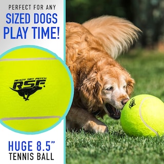 Foto 3 | Pelota De Tenis Sobredimensionada Para Perros Franklin Pet Supply 8.5 Jumbo - Venta Internacional.