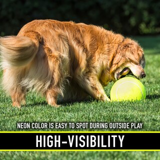 Foto 6 | Pelota De Tenis Sobredimensionada Para Perros Franklin Pet Supply 8.5 Jumbo - Venta Internacional.