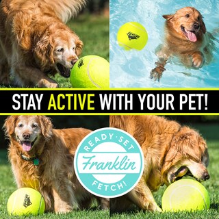 Foto 7 | Pelota De Tenis Sobredimensionada Para Perros Franklin Pet Supply 8.5 Jumbo - Venta Internacional.