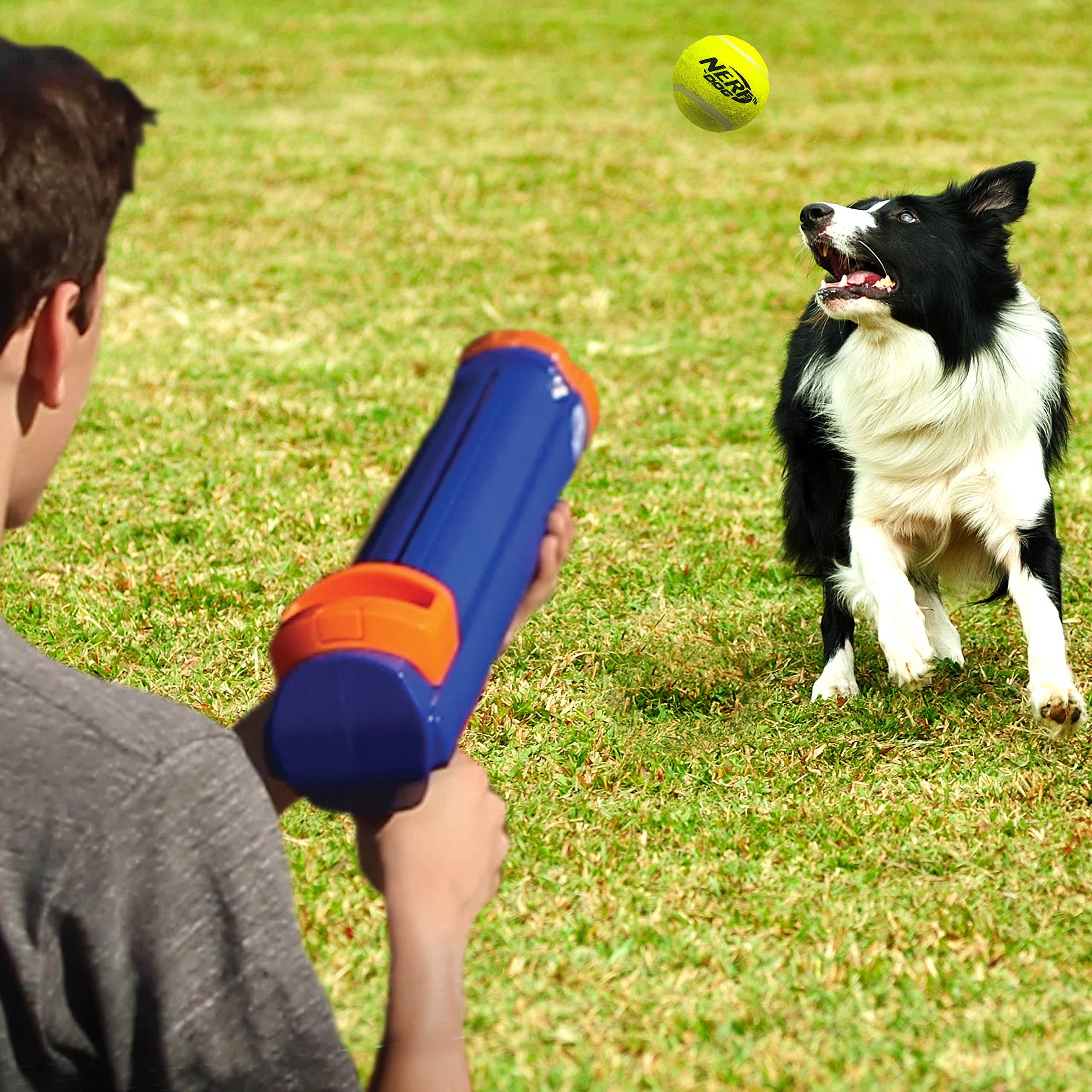Foto 3 pulgar | Lanzador De Pelotas De Tenis Nerf Dog Compact Con 3 Pelotas Translúcidas - Venta Internacional.