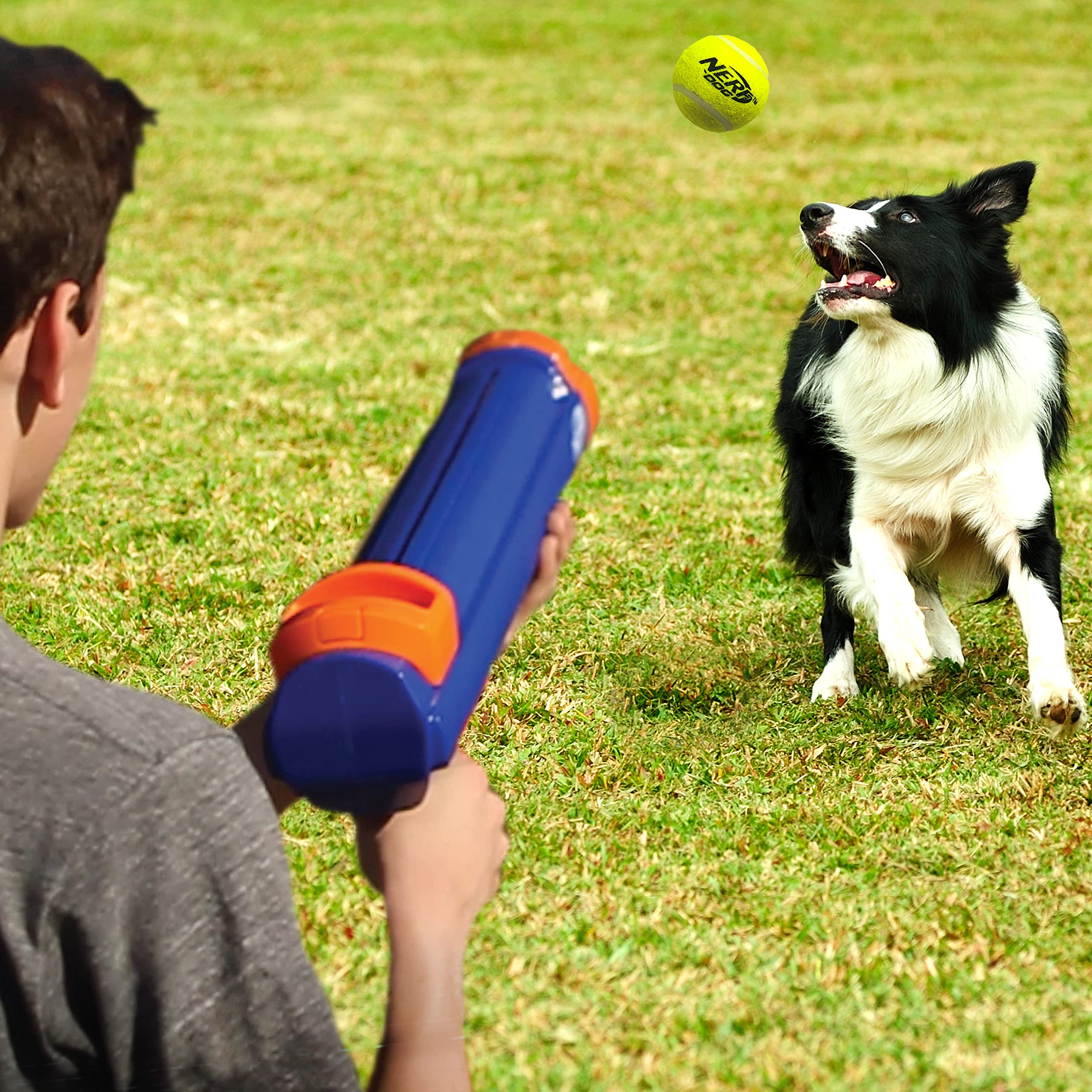 Foto 5 | Pelota De Tenis Tennis Blaster Nerf Dog De 30 Cm Con 3 Pelotas De Tenis En Miniatura - Venta Internacional.