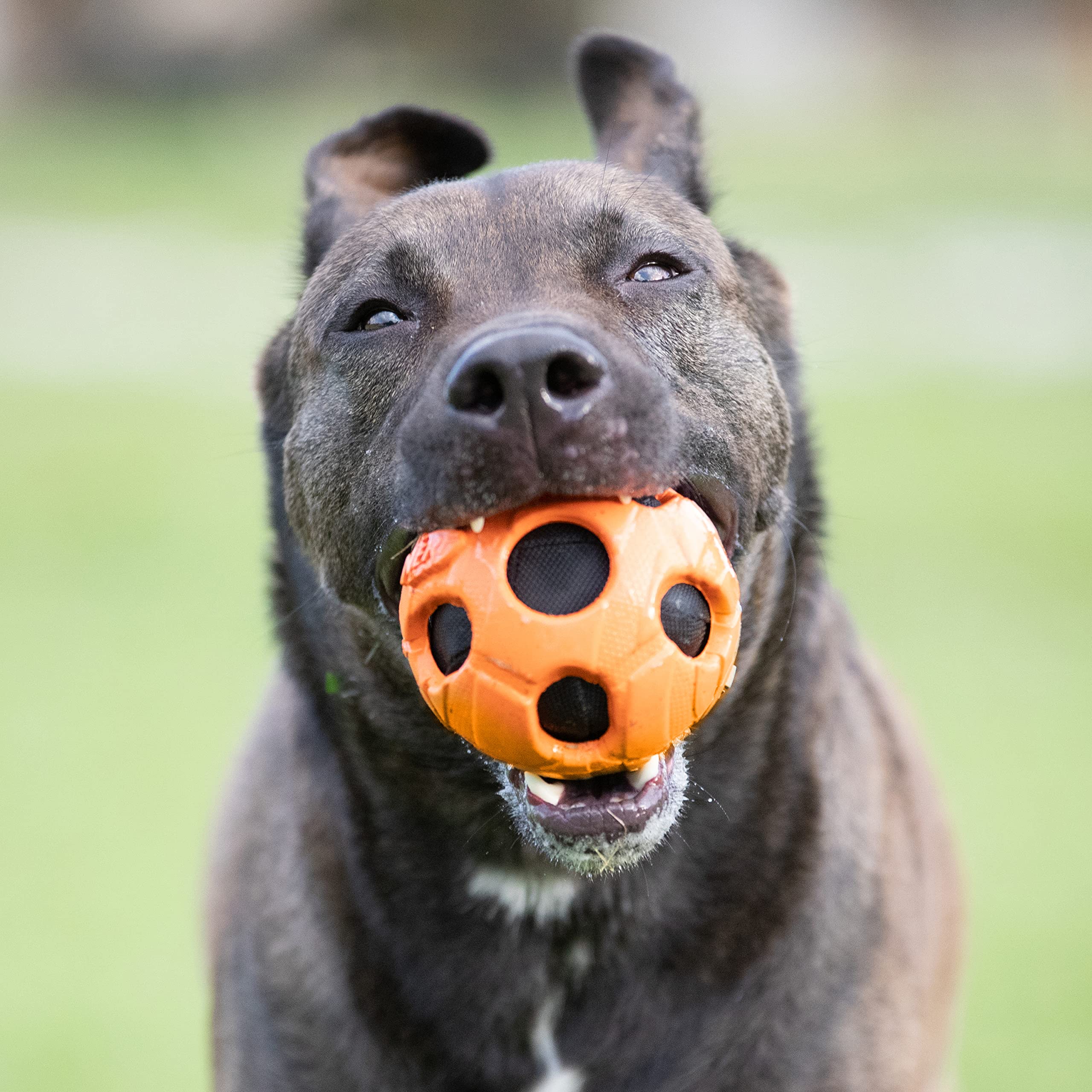 Foto 3 pulgar | Juguete Para Perros Nerf Bash Crunch Ball, Tamaño Grande, Naranja - Venta Internacional.