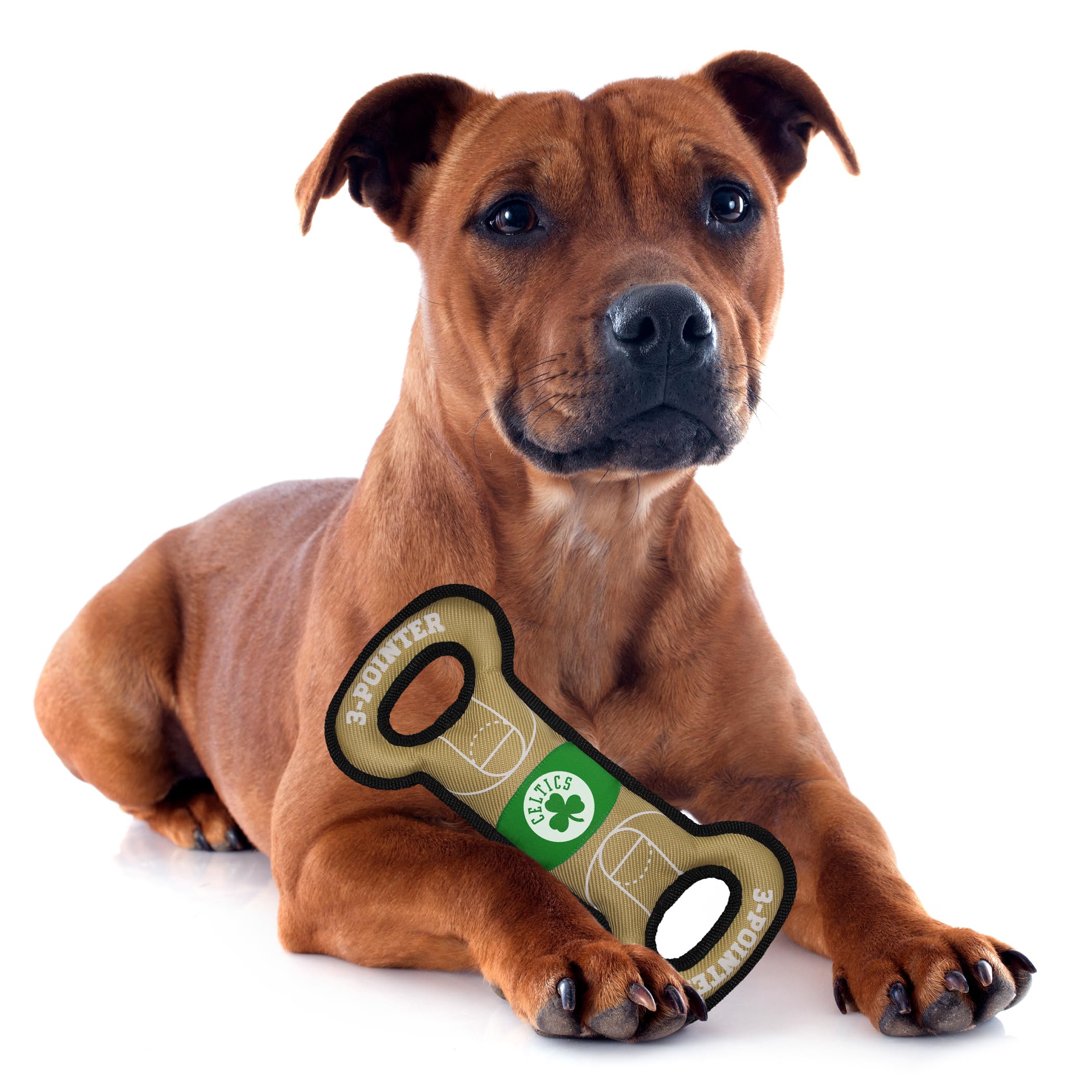Foto 6 pulgar | Pet Toy Pets First Nba Boston Celtics Field Juguete De Nailon - Venta Internacional.