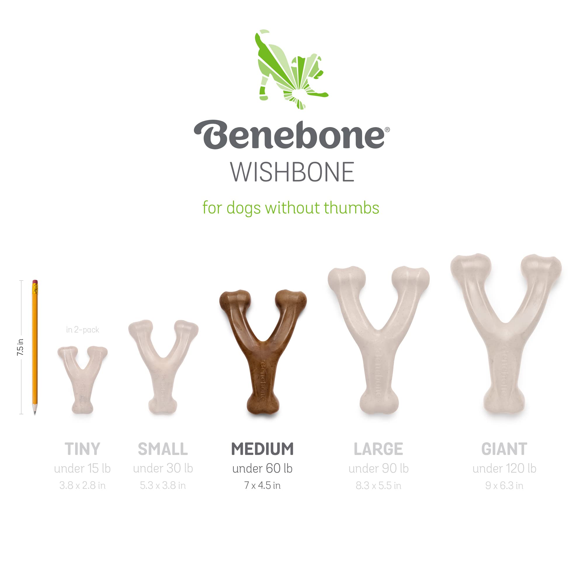 Foto 7 pulgar | Juguetes Masticables Para Perros Benebone Fishbone/wishbone, Paquete De 2 Unidades, Tamaño Mediano - Venta Internacion