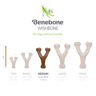 Foto 6 | Juguetes Masticables Para Perros Benebone Fishbone/wishbone, Paquete De 2 Unidades, Tamaño Mediano - Venta Internacion