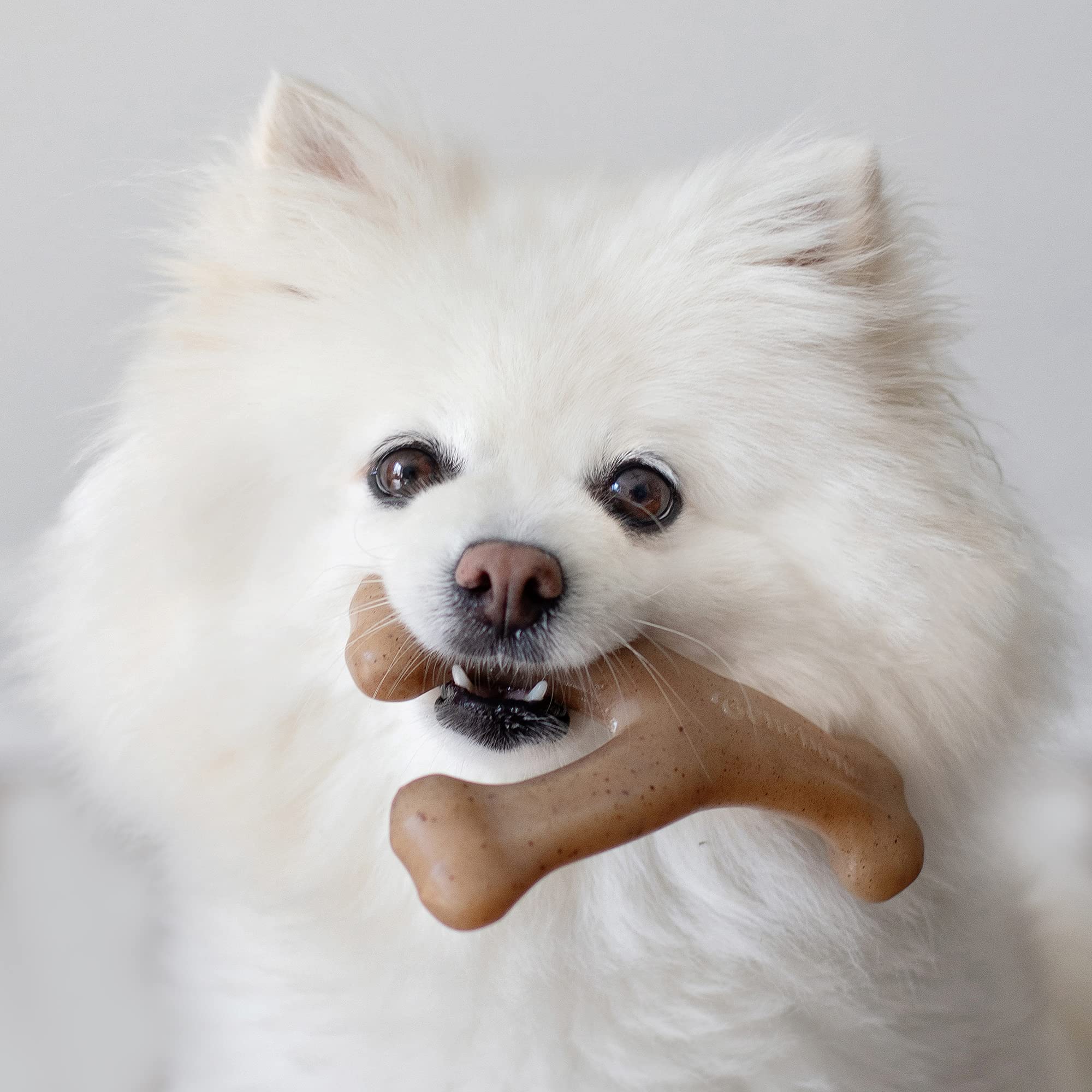 Foto 3 pulgar | Juguetes Masticables Para Perros Benebone Wishbone/dental Durable, 2 Unidades - Venta Internacional.