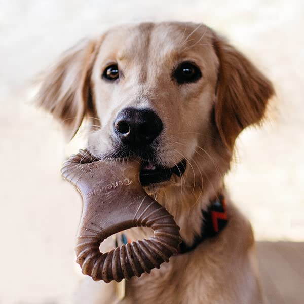 Foto 4 | Juguetes Masticables Para Perros Benebone Wishbone/dental Durable, 2 Unidades - Venta Internacional.