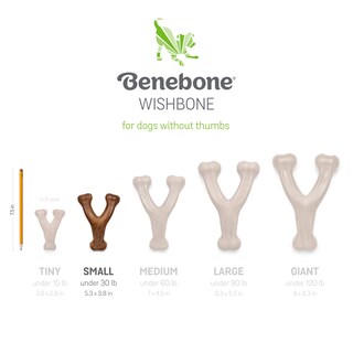 Foto 6 | Juguetes Masticables Para Perros Benebone Wishbone/dental Durable, 2 Unidades - Venta Internacional.