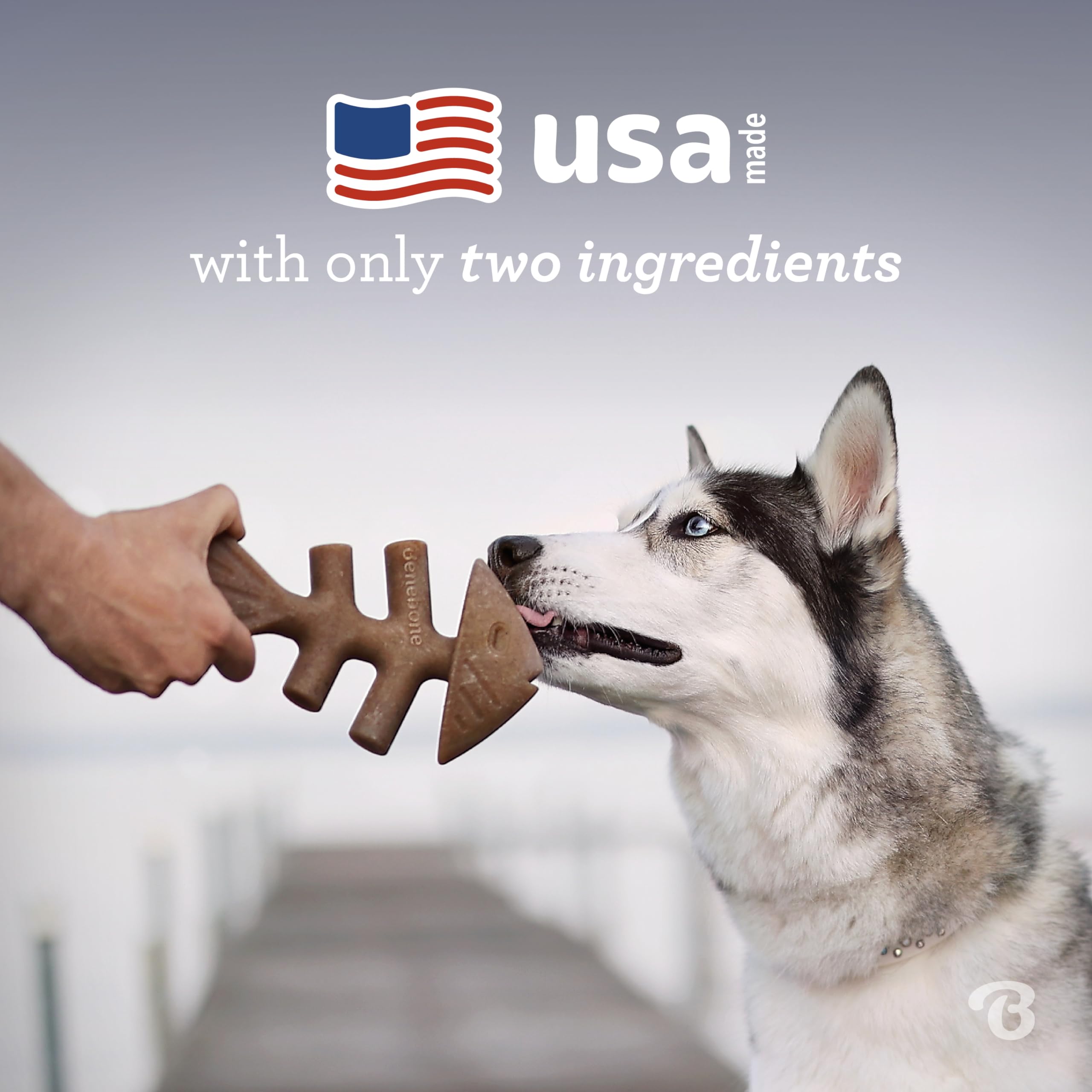 Foto 5 | Juguete Masticable Para Perros Benebone Fishbone, Duradero Para Masticadores Agresivos - Venta Internacional.