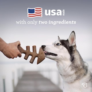 Foto 5 | Juguete Masticable Para Perros Benebone Fishbone, Duradero Para Masticadores Agresivos - Venta Internacional.