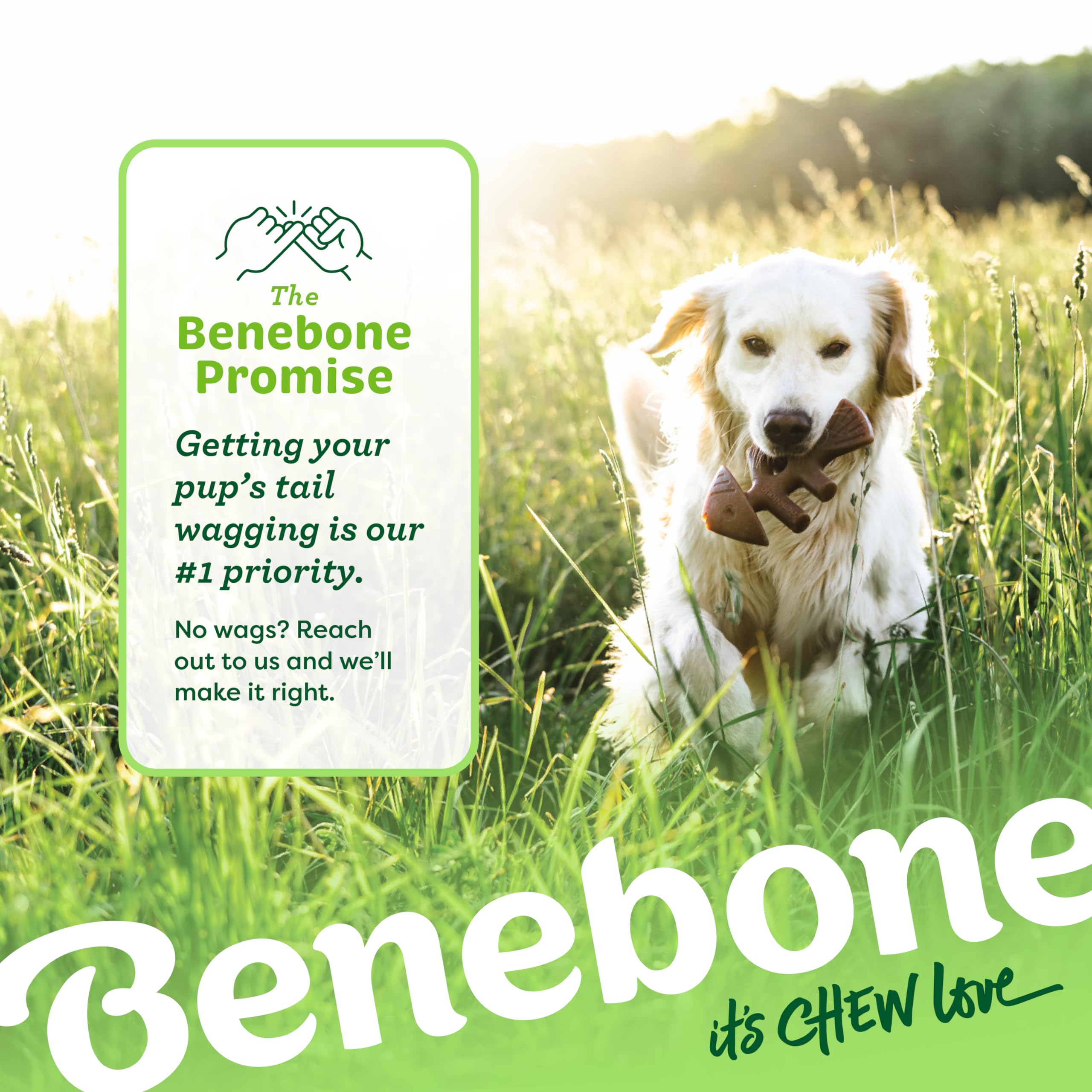 Foto 6 | Juguete Masticable Para Perros Benebone Fishbone, Duradero Para Masticadores Agresivos - Venta Internacional.