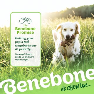Foto 6 | Juguete Masticable Para Perros Benebone Fishbone, Duradero Para Masticadores Agresivos - Venta Internacional.