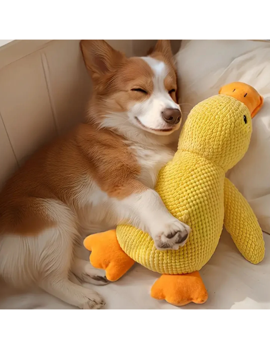 Foto 5 pulgar | Pato De Peluche Anti Estrés Para Perros