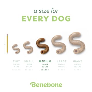 Foto 4 | Juguete Masticable Para Perros Benebone Tripe Bone Duradero Para Masticadores Agresivos - Venta Internacional.