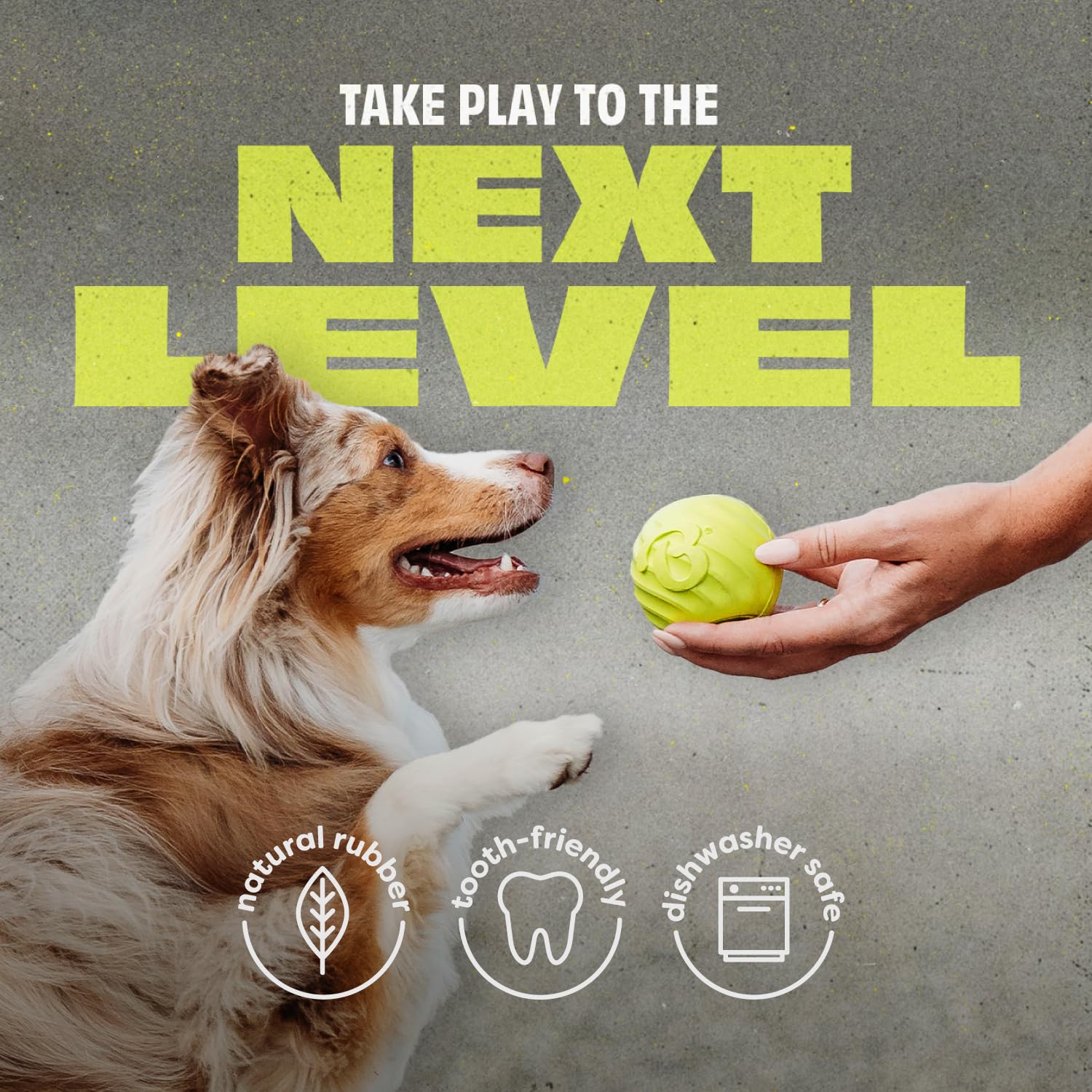 Foto 4 | Pelota Para Perros Benebone De Caucho Natural - Venta Internacional.
