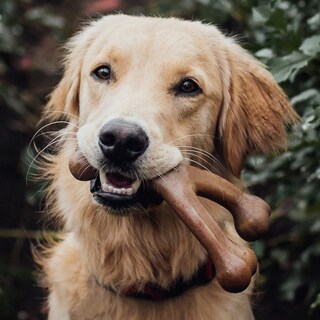 Foto 2 | Juguetes Masticables Para Perros Benebone Wishbone/dental, Duraderos, Paquete De 2 Unidades, Grandes - Venta Internac
