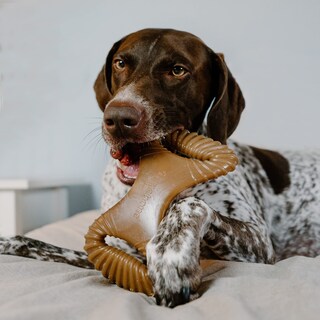 Foto 4 | Juguetes Masticables Para Perros Benebone Wishbone/dental, Duraderos, Paquete De 2 Unidades, Grandes - Venta Internac