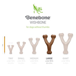 Foto 6 | Juguetes Masticables Para Perros Benebone Wishbone/dental, Duraderos, Paquete De 2 Unidades, Grandes - Venta Internac