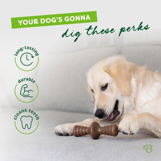 Foto 3 | Juguete Masticable Para Perros Benebone Zaggler Rolling Para Masticadores Agresivos - Venta Internacional.