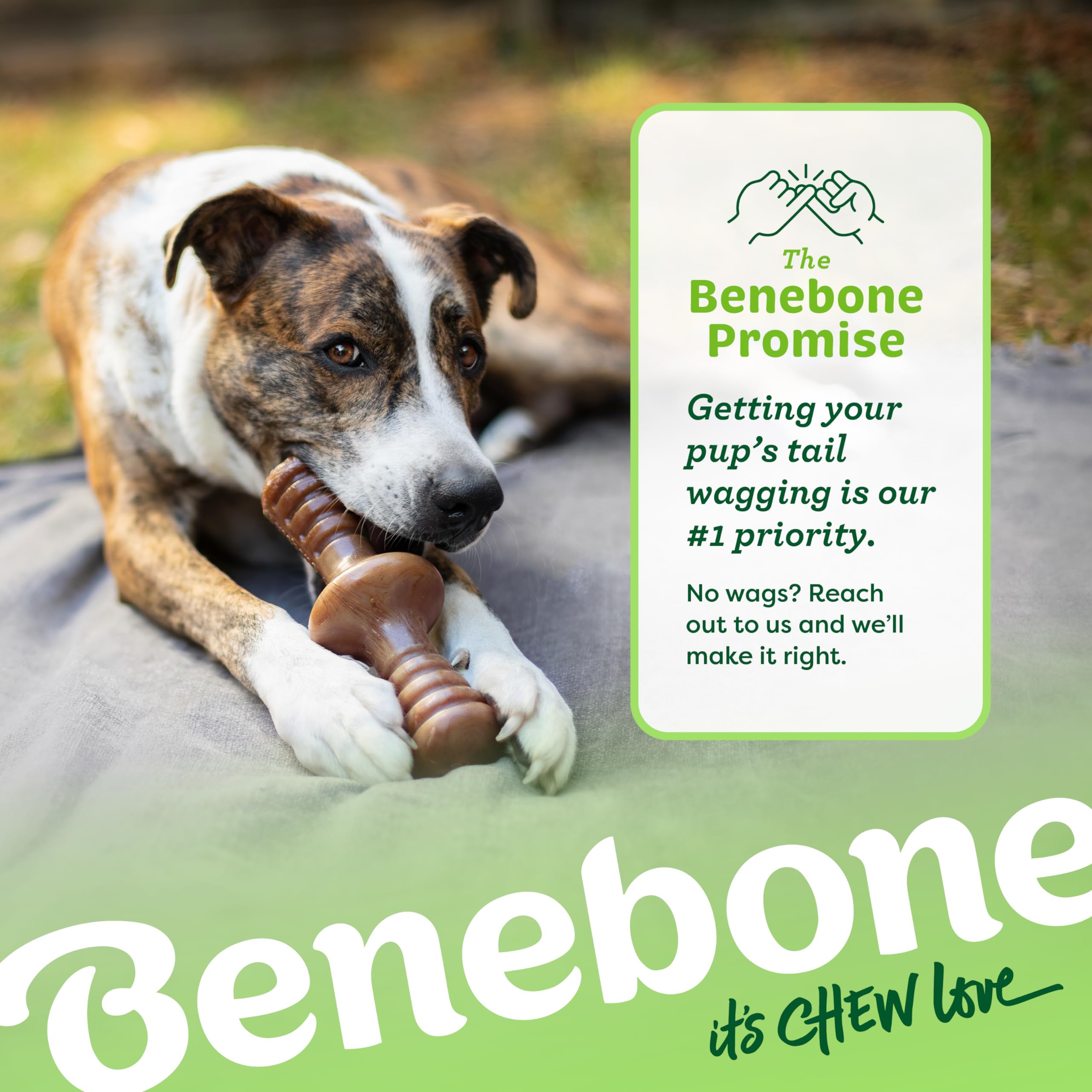 Foto 7 pulgar | Juguete Masticable Para Perros Benebone Zaggler Rolling Para Masticadores Agresivos - Venta Internacional.