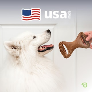 Foto 5 | Juguete Masticable Para Perros Benebone Dental Duradero Para Masticadores Agresivos - Venta Internacional.