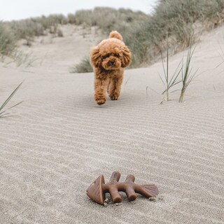 Foto 2 | Juguete Masticable Para Perros Benebone Fishbone, Duradero Para Masticadores Agresivos - Venta Internacional.
