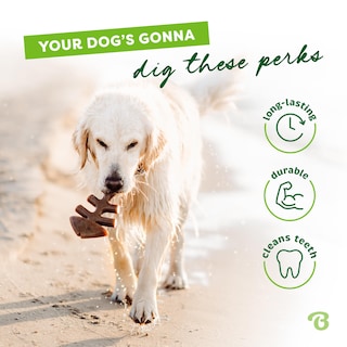 Foto 4 | Juguete Masticable Para Perros Benebone Fishbone, Duradero Para Masticadores Agresivos - Venta Internacional.