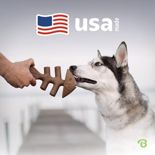 Foto 6 | Juguete Masticable Para Perros Benebone Fishbone, Duradero Para Masticadores Agresivos - Venta Internacional.