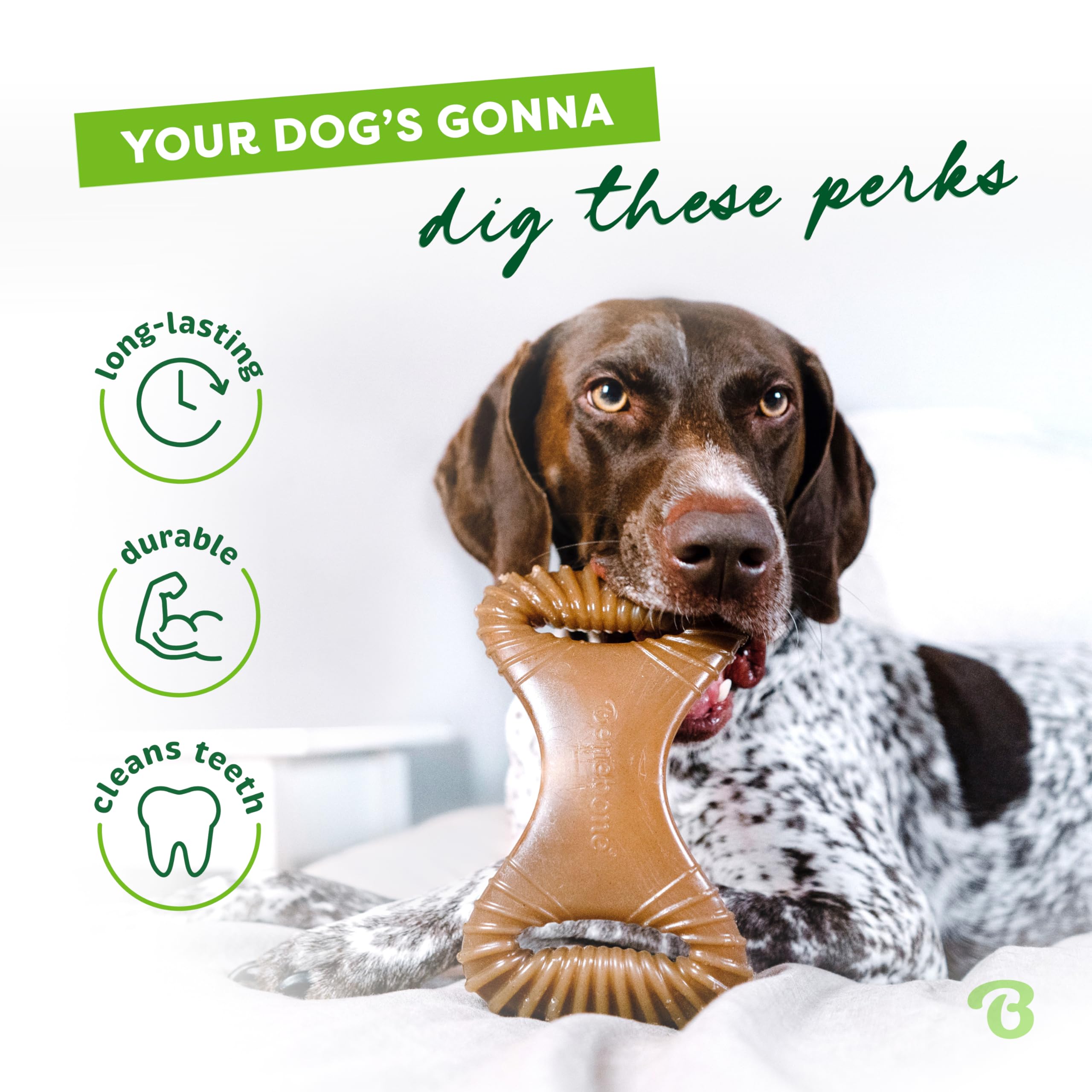 Foto 4 pulgar | Juguete Masticable Para Perros Benebone Dental Duradero Para Masticadores Agresivos - Venta Internacional.
