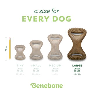 Foto 4 | Juguete Masticable Para Perros Benebone Dental Duradero Para Masticadores Agresivos - Venta Internacional.