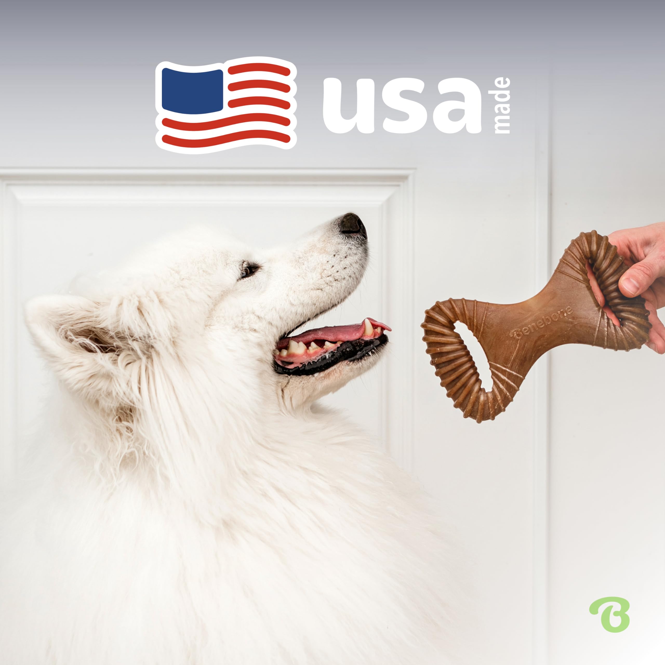 Foto 6 pulgar | Juguete Masticable Para Perros Benebone Dental Duradero Para Masticadores Agresivos - Venta Internacional.