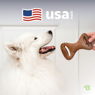 Foto 5 | Juguete Masticable Para Perros Benebone Dental Duradero Para Masticadores Agresivos - Venta Internacional.