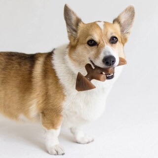 Foto 4 | Juego De 1 Pieza Pequeña De Dog Chew Toys Benebone Fishbone Fishbone - Venta Internacional.