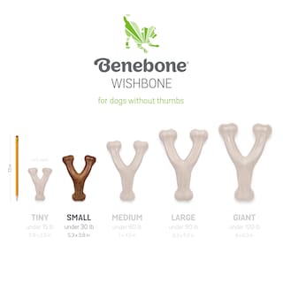 Foto 6 | Juego De 1 Pieza Pequeña De Dog Chew Toys Benebone Fishbone Fishbone - Venta Internacional.