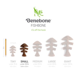Foto 7 | Juego De 1 Pieza Pequeña De Dog Chew Toys Benebone Fishbone Fishbone - Venta Internacional.