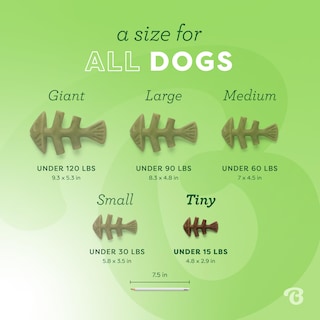 Foto 4 | Juguetes Masticables Para Perros Benebone Tiny, Paquete De 2 Unidades, Con Forma De Espina De Pescado - Venta Intern