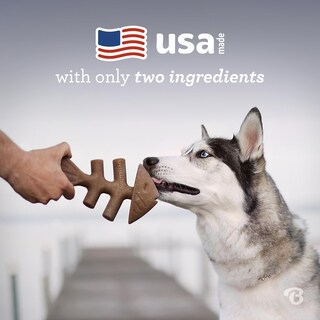 Foto 5 | Juguetes Masticables Para Perros Benebone Tiny, Paquete De 2 Unidades, Con Forma De Espina De Pescado - Venta Intern