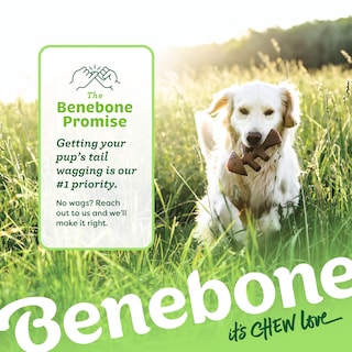 Foto 6 | Juguetes Masticables Para Perros Benebone Tiny, Paquete De 2 Unidades, Con Forma De Espina De Pescado - Venta Intern