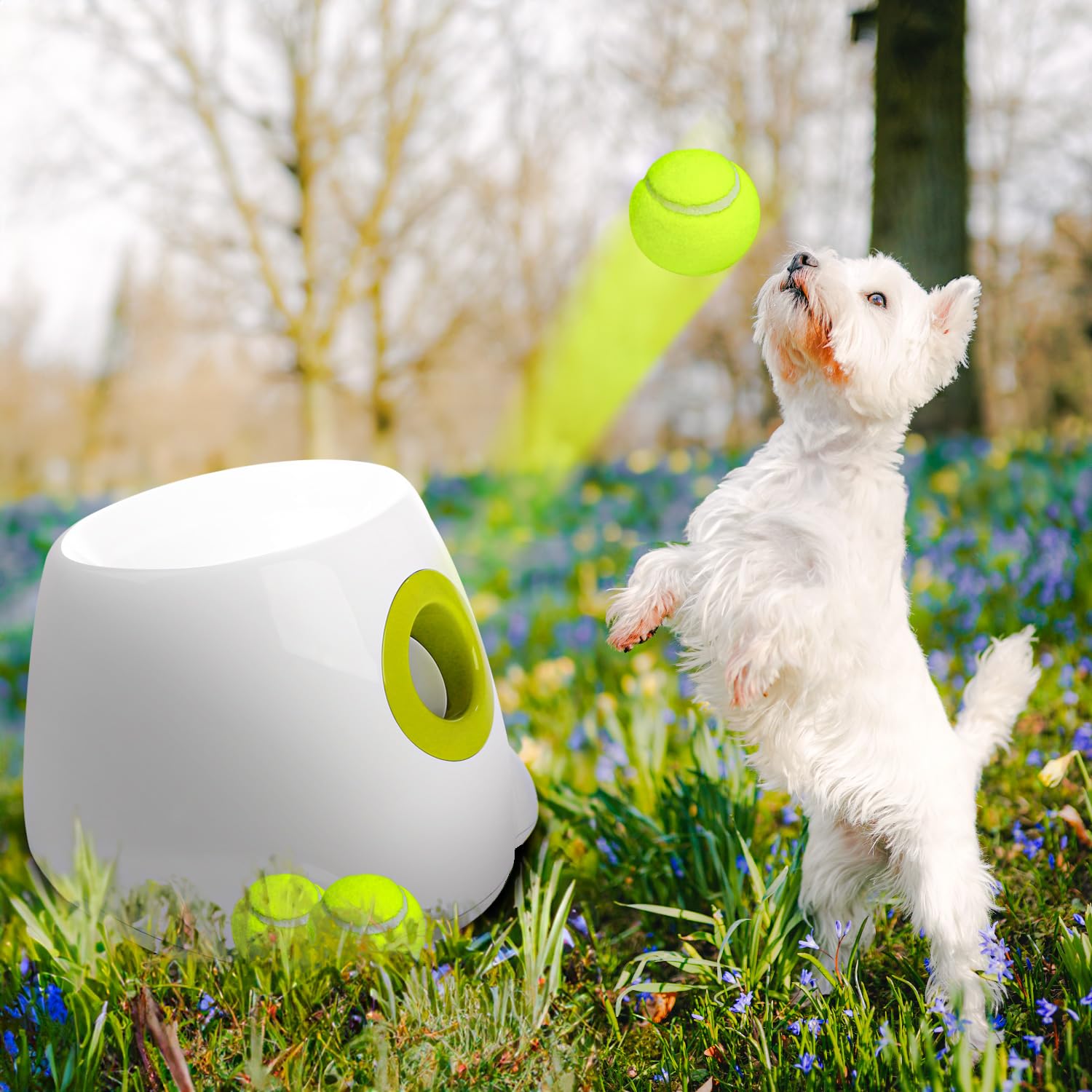 Foto 2 | Lanzador Automático De Bolas All For Paws Para Perros Pequeños - Venta Internacional.