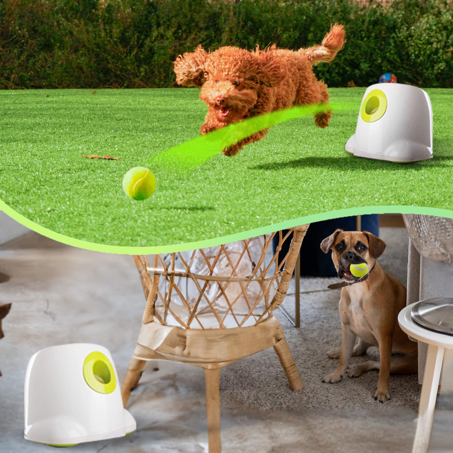 Foto 4 pulgar | Lanzador Automático De Bolas All For Paws Para Perros Pequeños - Venta Internacional.