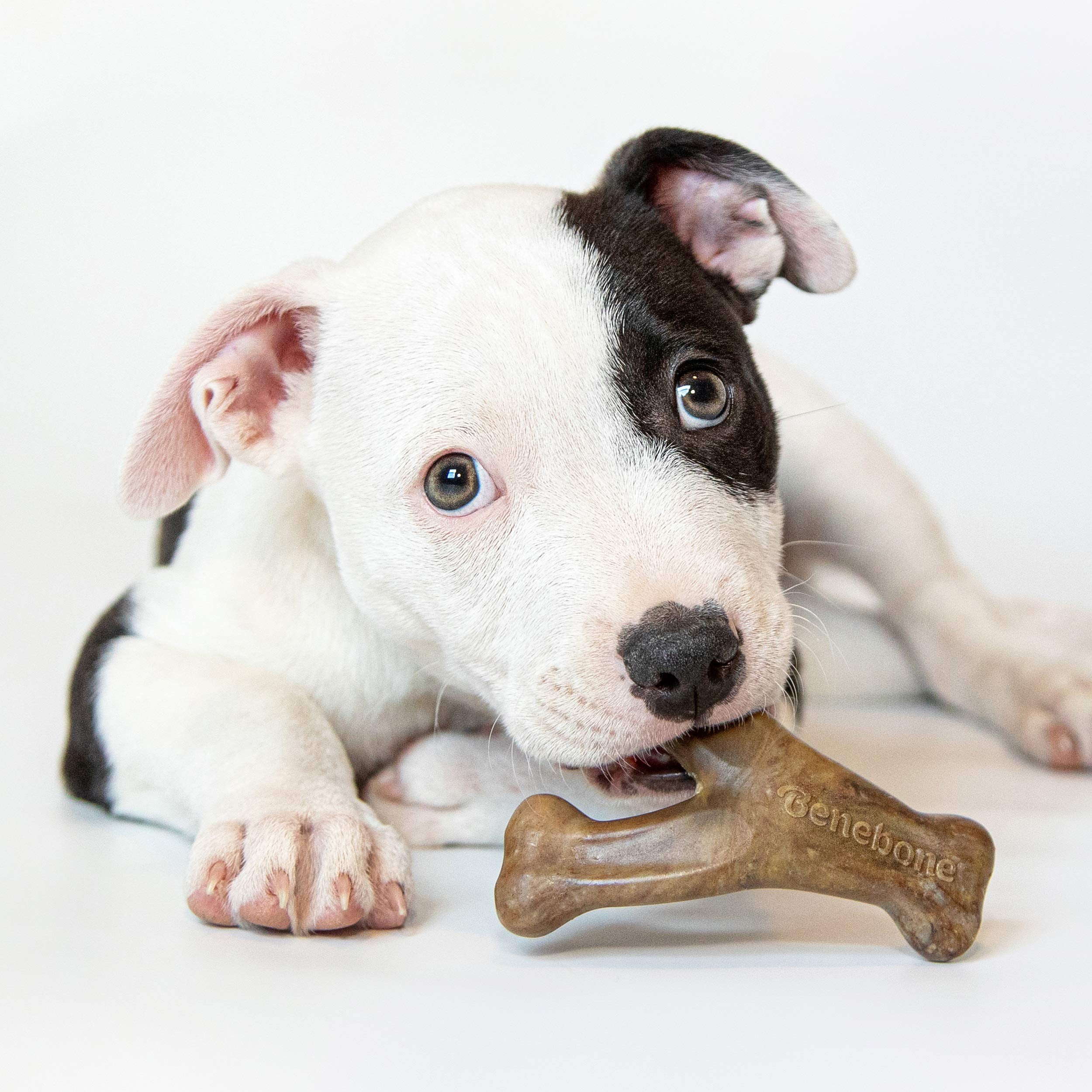 Foto 2 | Chew Toys Benebone Puppy, Paquete De 2 Unidades, Masticable Y Espoleta Dental Para Perro - Venta Internacional.