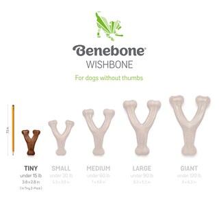 Foto 5 | Chew Toys Benebone Puppy, Paquete De 2 Unidades, Masticable Y Espoleta Dental Para Perro - Venta Internacional.