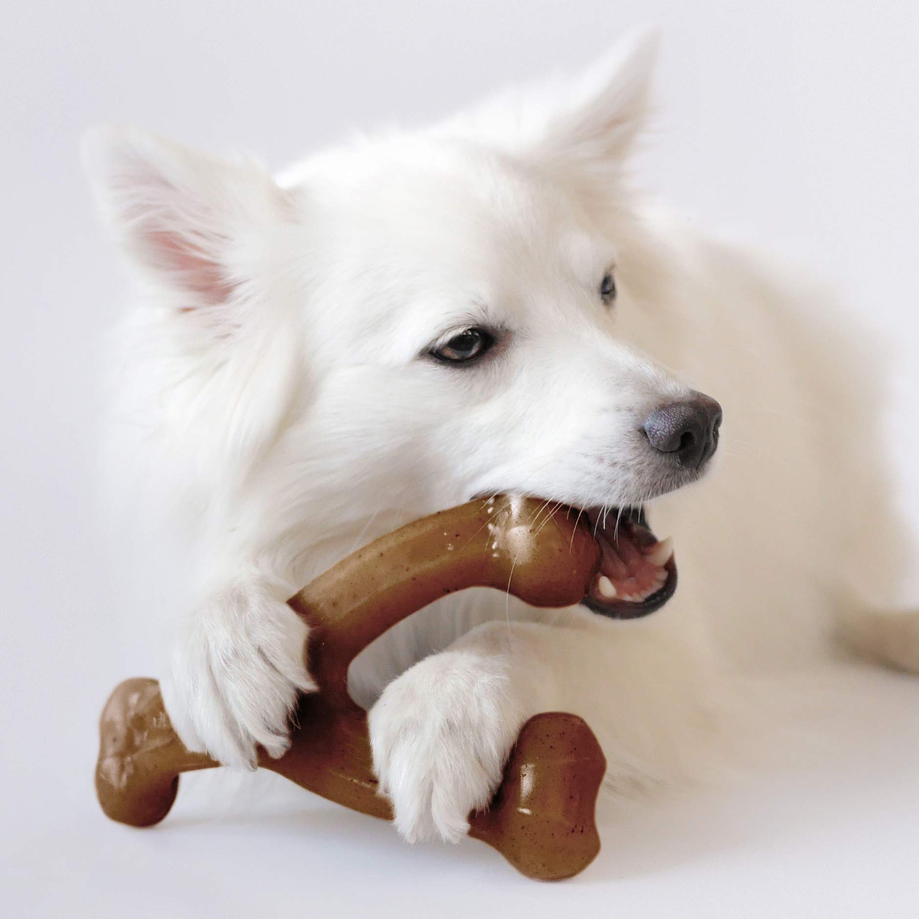 Foto 3 pulgar | Juguete Masticable Para Perros Benebone, Con Forma De Horquilla Indestructible, Para Perros Medianos - Venta Internac