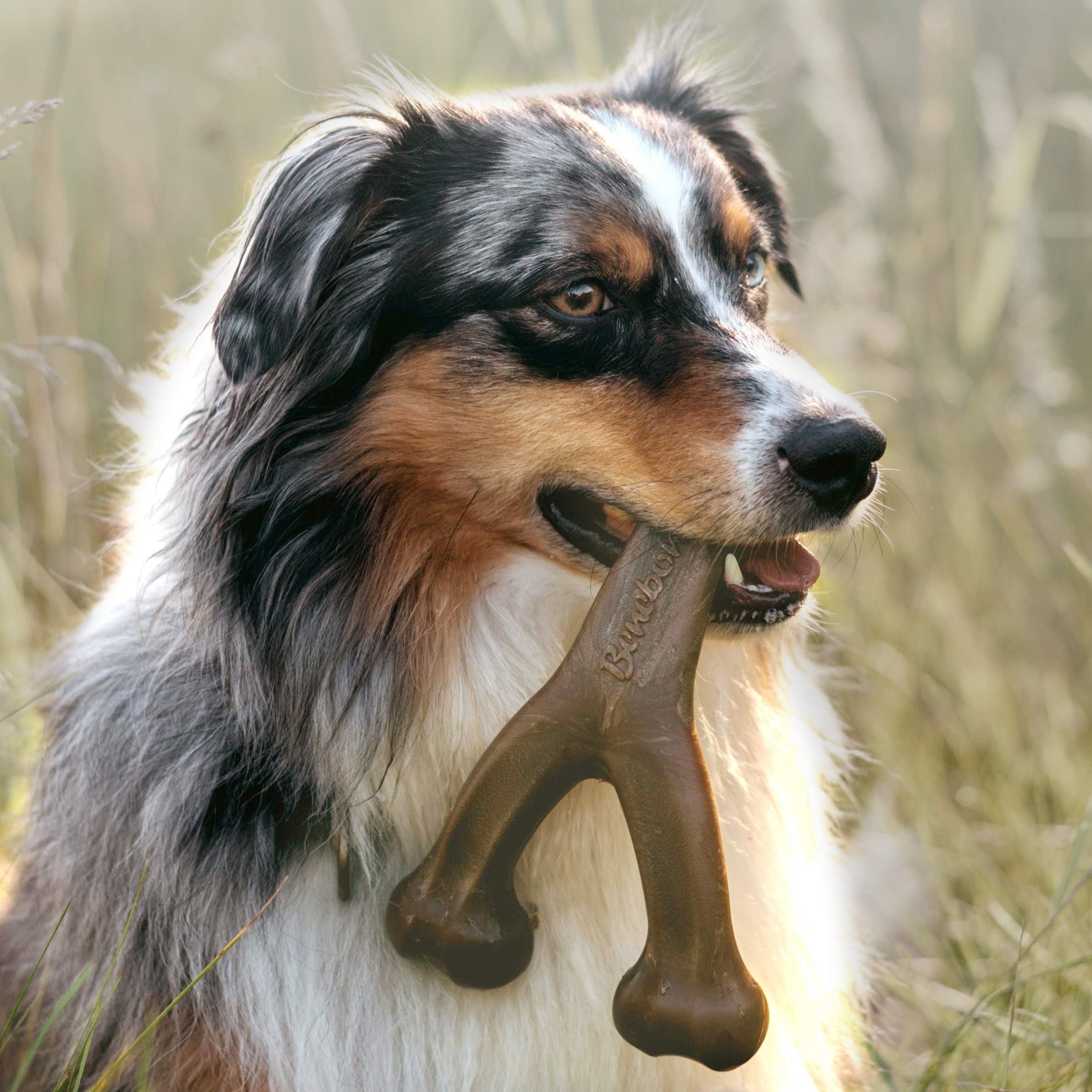 Foto 6 pulgar | Juguete Masticable Para Perros Benebone, Con Forma De Horquilla Indestructible, Para Perros Medianos - Venta Internac